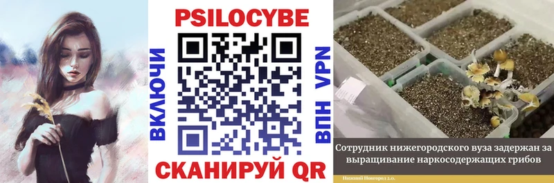 цена   Энем  Псилоцибиновые грибы мухоморы 